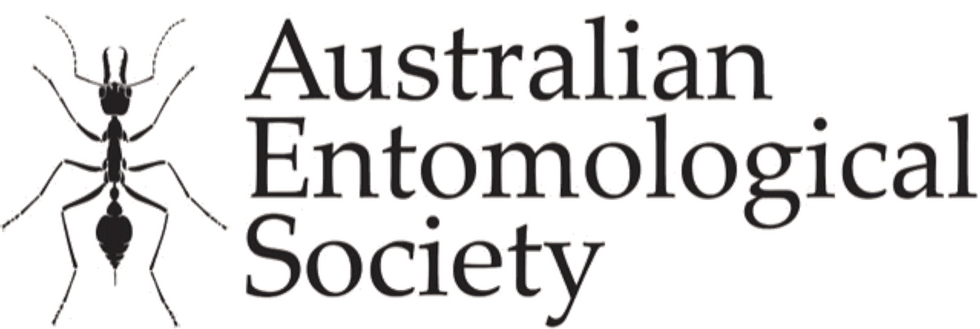 AES logo AES logo