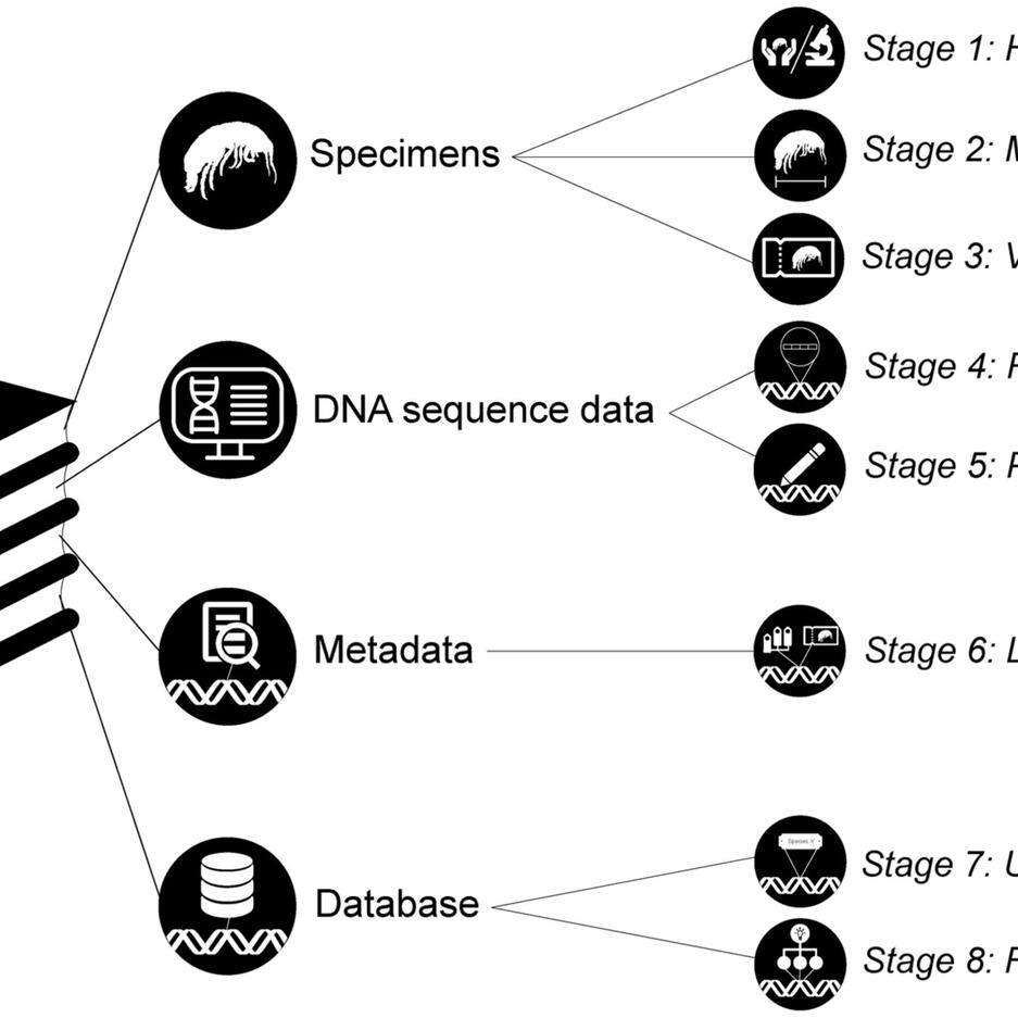 What are the best practices for curating eDNA custom barcode reference libraries? A case study using Australian subterranean fauna