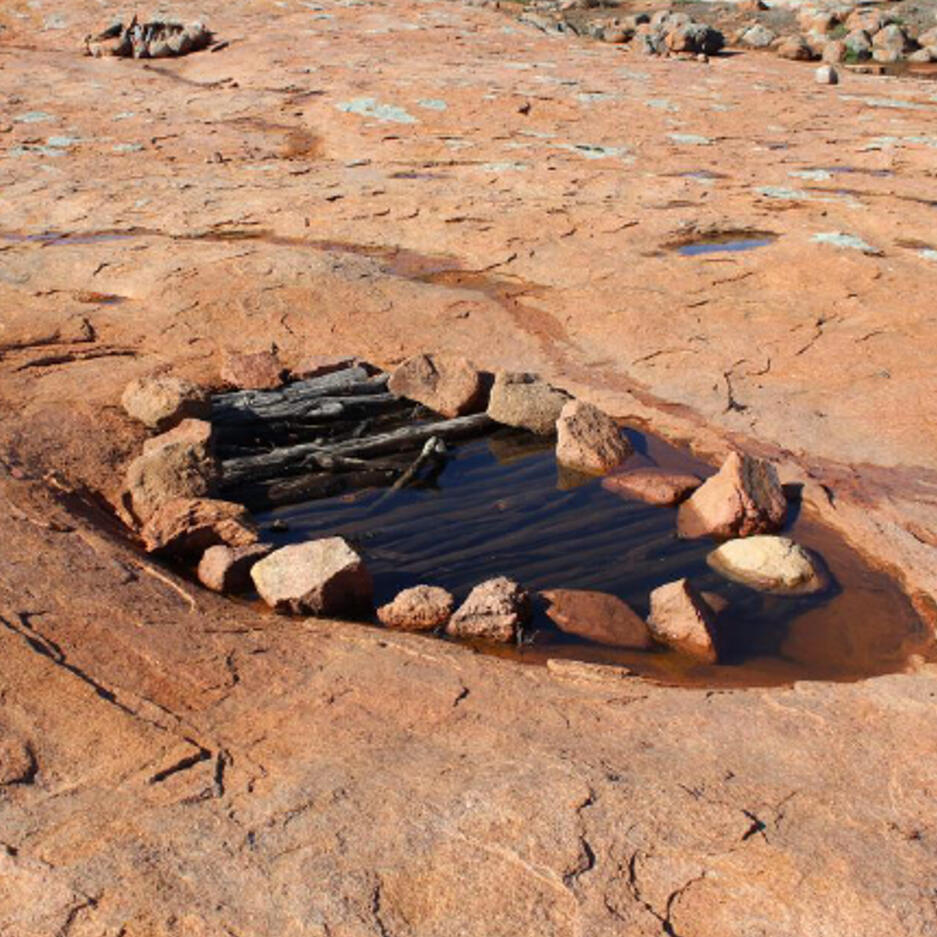 Environmental DNA reveals temporal and spatial variability of invertebrate communities in arid-lands ephemeral water bodies